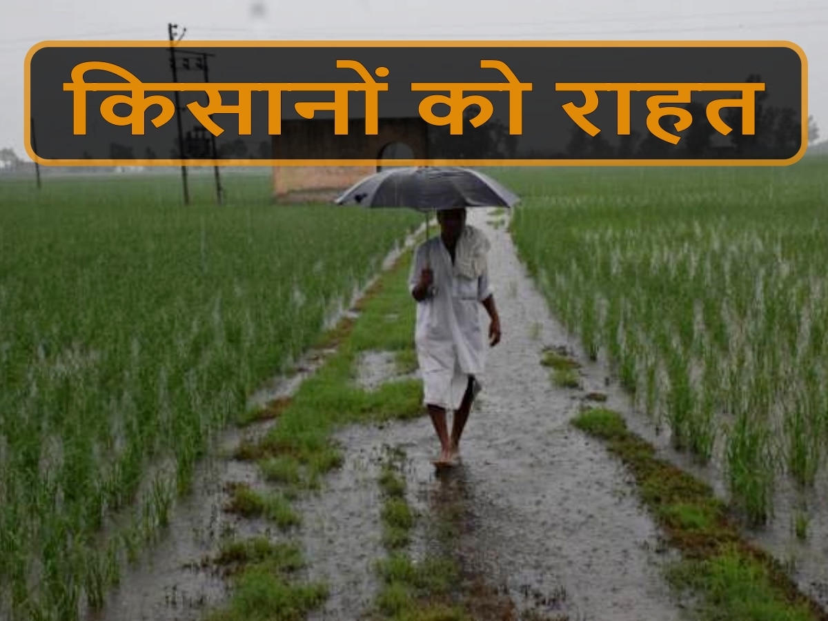 Weather Update: मध्य प्रदेश में इस दिन फिर सक्रिय होगा मानसून, छत्तीसगढ़ में बारिश का अलर्ट