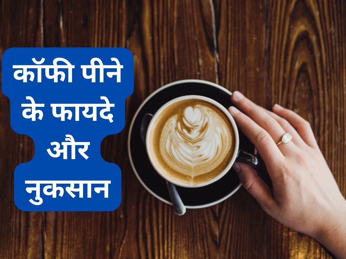 How Cafestol and Kahweol in Coffee Help in Prevention of Disease Health Benefits You should know