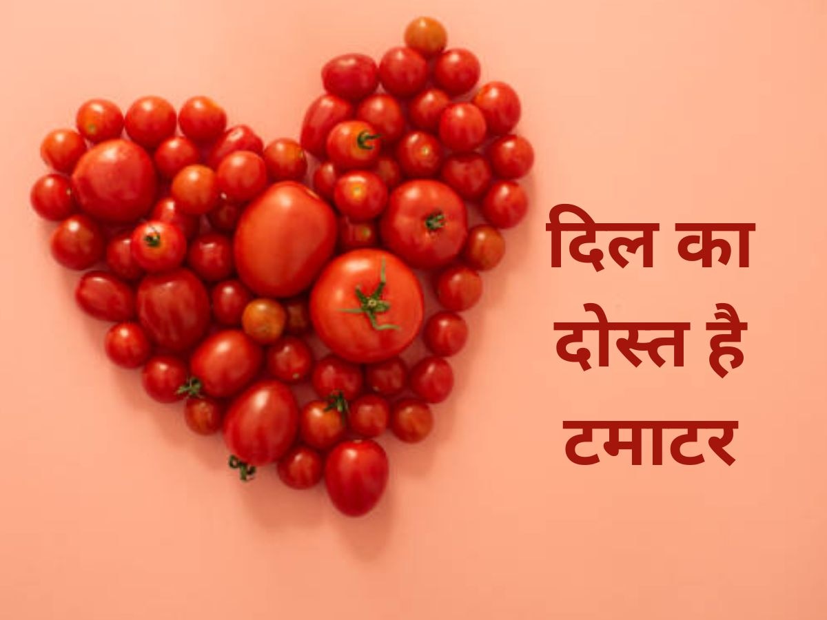 Tomato: टमाटर में मौजूद Lycopene दिलाएगा Cholesterol से आजादी, कम होगा Heart Attack का रिस्क
