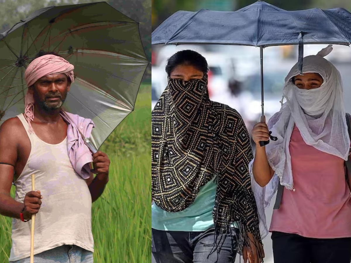 Weather Forecast: मानसून की बेरुखी! मध्य प्रदेश में किसान परेशान, छत्तीसगढ़ में जून वाली गर्मी; अब इस दिन होगी बारिश