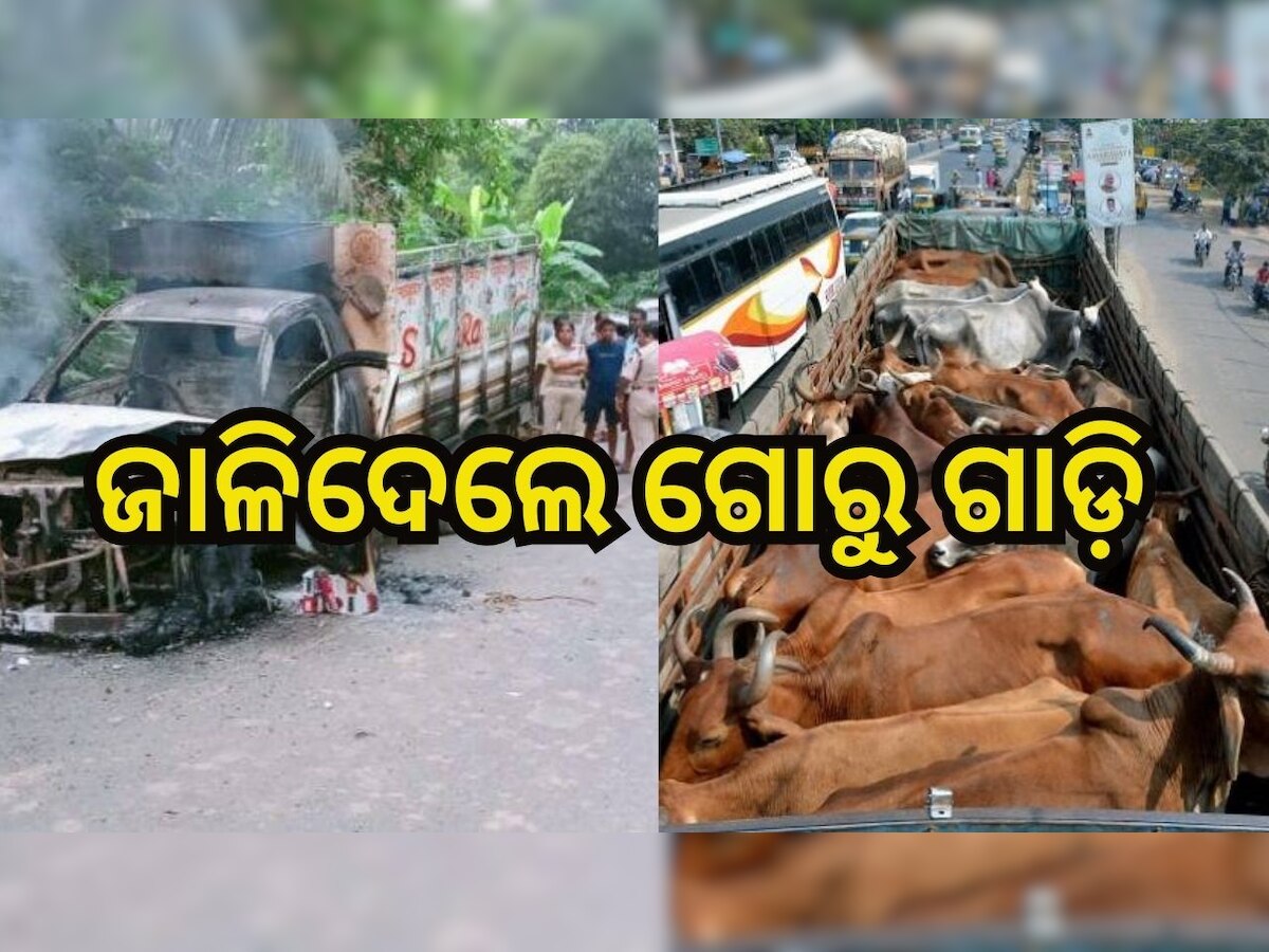 Illigal cow transport: ଗୋରୁ ଚାଲାଣ ବେଳେ ଗାଡ଼ି ଜାଳି ଦେଲେ ଲୋକେ..