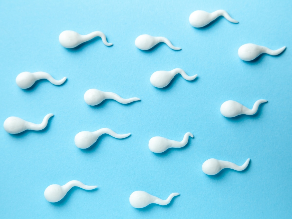 Folate की कमी से पुरुषों की मर्दानगी पर उठते हैं सवाल, Sperm Count बढ़ाने के लिए खाएं 5 तरह के फूड