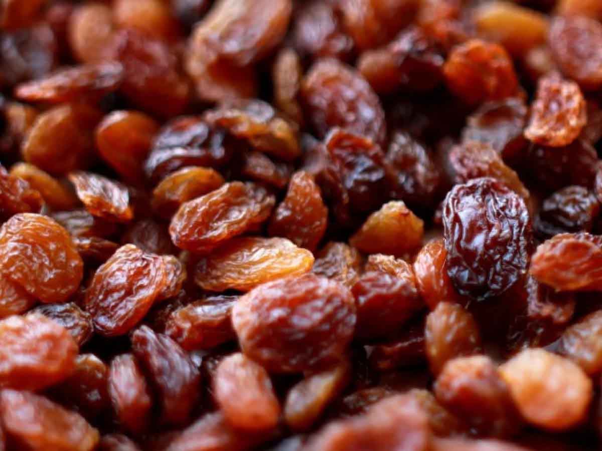 Munakka Benefits For weakness men purushon ke liye munakka ke fayde | Munakka Benefits: पुरुषों की इस कमजोरी को रातों-रात दूर कर देगा मुनक्का, ऐसे कीजिए सेवन | Hindi News,