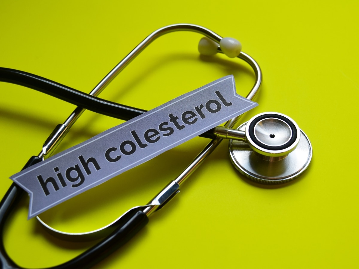 LDL कोलेस्ट्रॉल का नामोनिशान मिटा देंगे 4 आयुर्वेदिक उपाय, कम होगा हार्ट अटैक व स्ट्रोक का खतरा