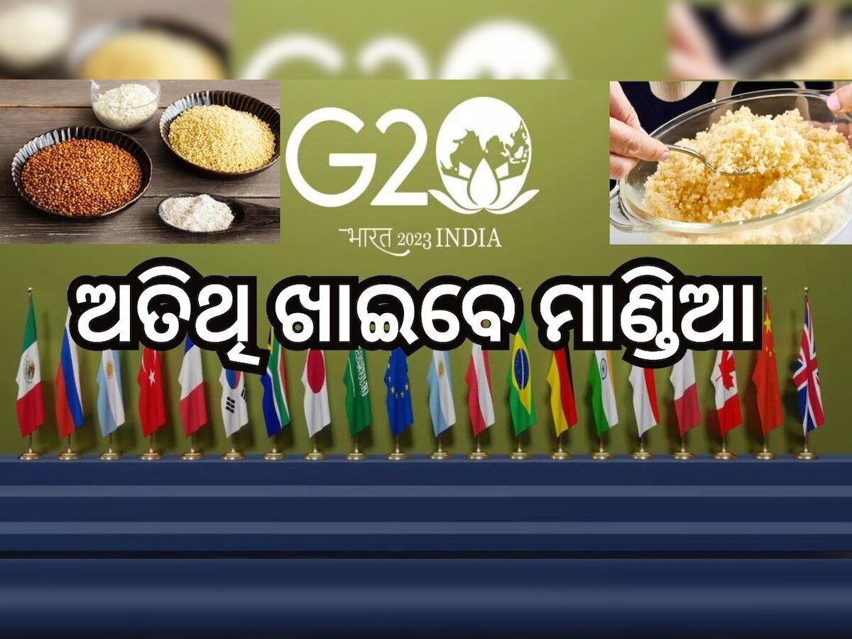 ସାଙ୍କେତିକ ଫଟୋ: G-20 Summit 2023