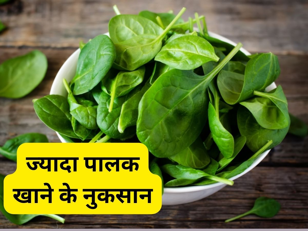 Why Oxalate In Spinach is Harmful For Health Jayada Palak Khane Ke Nuksan In Hindi Spinach