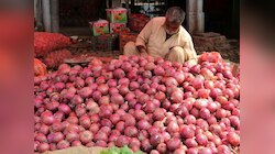 महंगी प्‍याज से राहत, कल से 25 रुपये क‍िलो ब‍िकेगा प्‍याज; सरकार ने उठाया बड़ा कदम