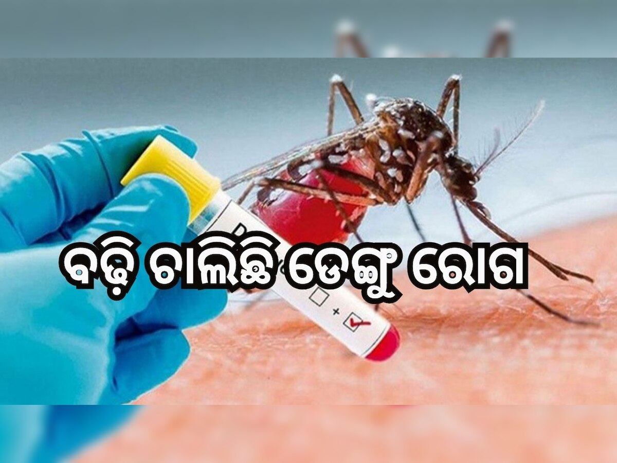 Dengue: ସାବଧାନ! ରାଜ୍ୟରେ ବଢ଼ି ଚାଲିଛି ଡେଙ୍ଗୁ ରୋଗ, ଏହି ଜିଲ୍ଲାରେ ଚିହ୍ନଟ ହେଲେ ସର୍ବାଧିକ ରୋଗୀ...