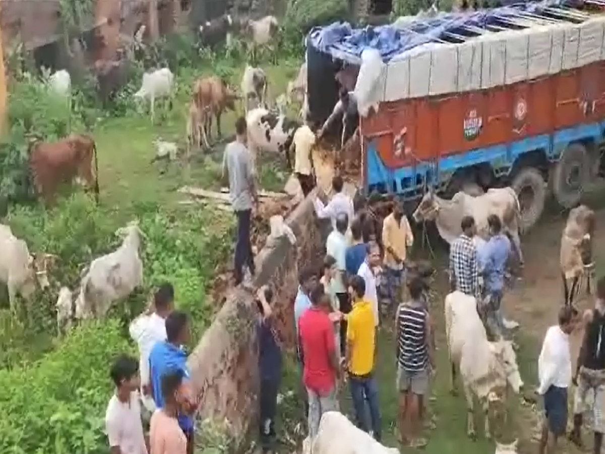 Bihar Police: तस्करी के लिए जा रहे तीन ट्रकों से 70 मवेशियों को किया गया मुक्त, 11 लोग गिरफ्तार