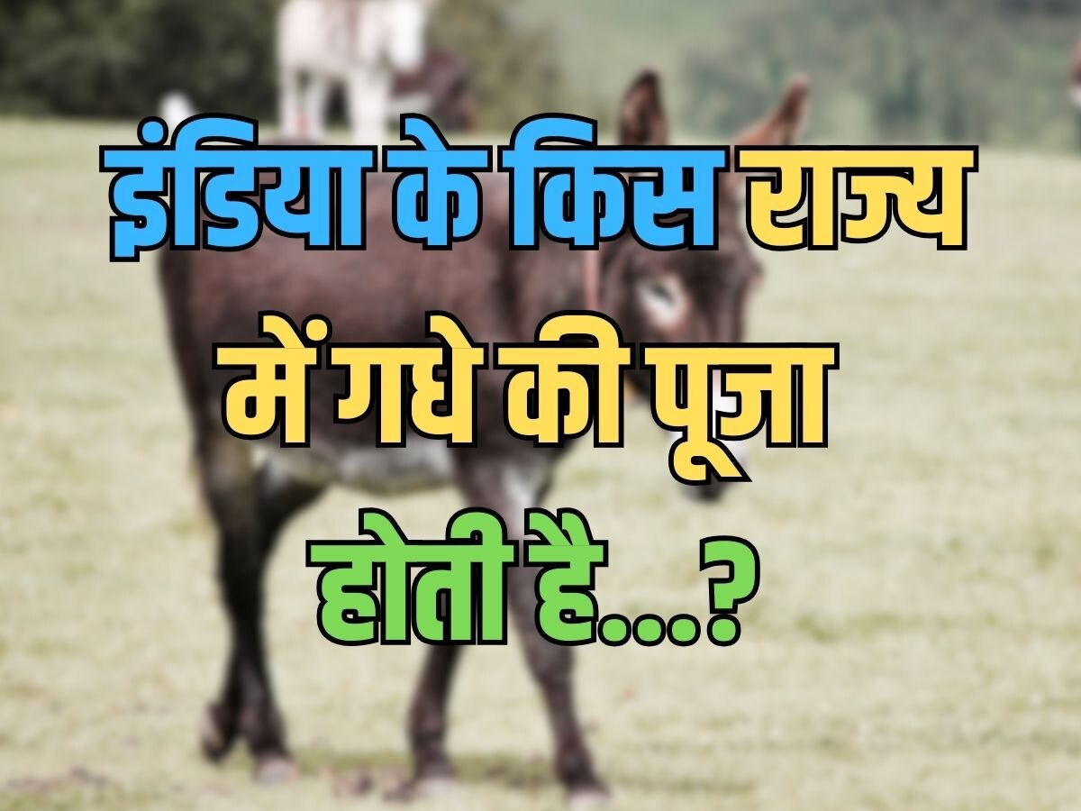 Trending Quiz: देश के किस राज्य में गधे की पूजा की जाती है?