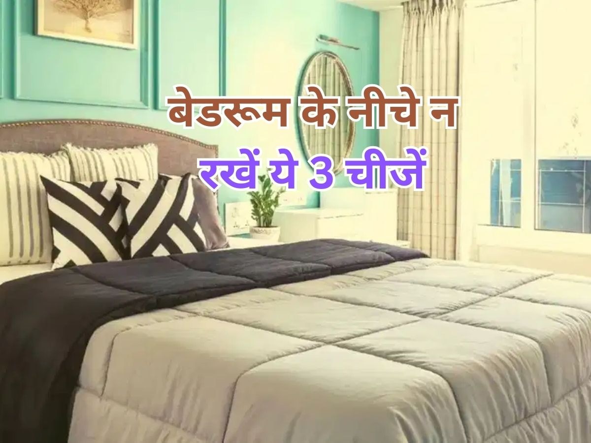 Bedbox Vastu Tips: बेड के नीचे गलती से भी न रखें ये 3 चीजें, वरना धन-समृद्धि से हाथ धो बैठेंगे आप