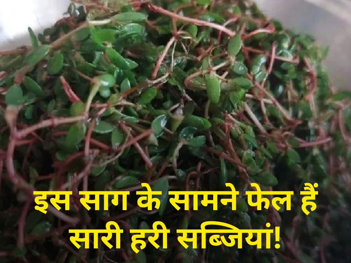 Flavonoid rich noni ka saag is more healthier than all green vegetables