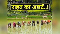 खुश हुए भगवान! संकट के बीच किसानों को बड़ी राहत, जानें MP में कब कहां होगी बारिश