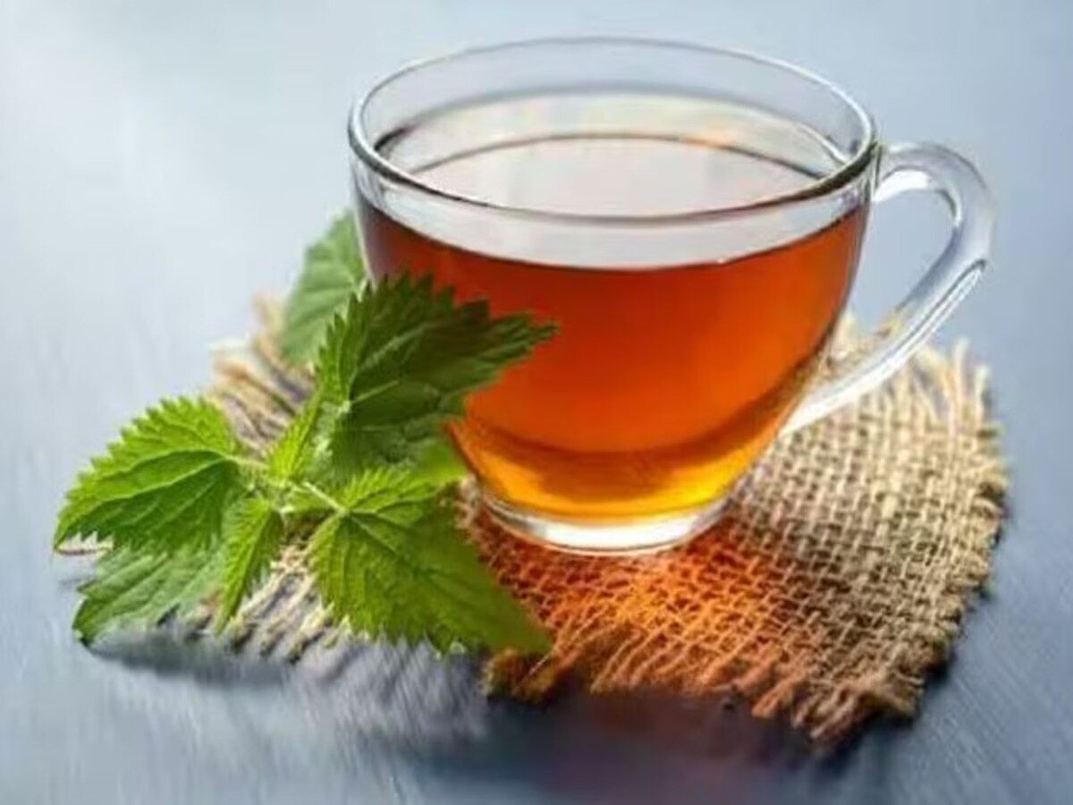 Green Tea Benefits: क्या आप ग्रीन टी के फायदे जानते हैं? आज से ही शुरू करें पीना