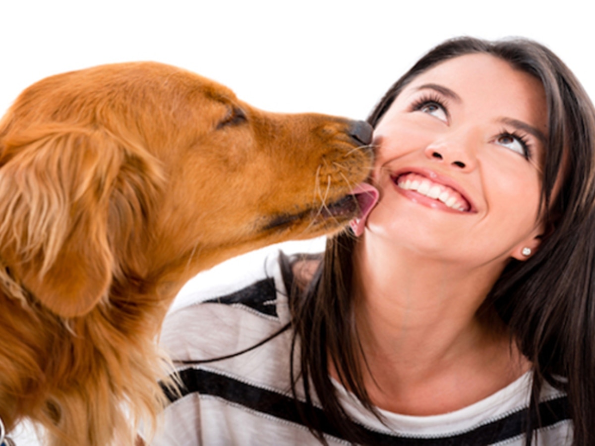 Kissing Pet: कुत्ते-बिल्ली को चूमना कितना खतरनाक? धीमे से शरीर को जकड़ लेंगी ये बीमारियां; जा सकती है जान!