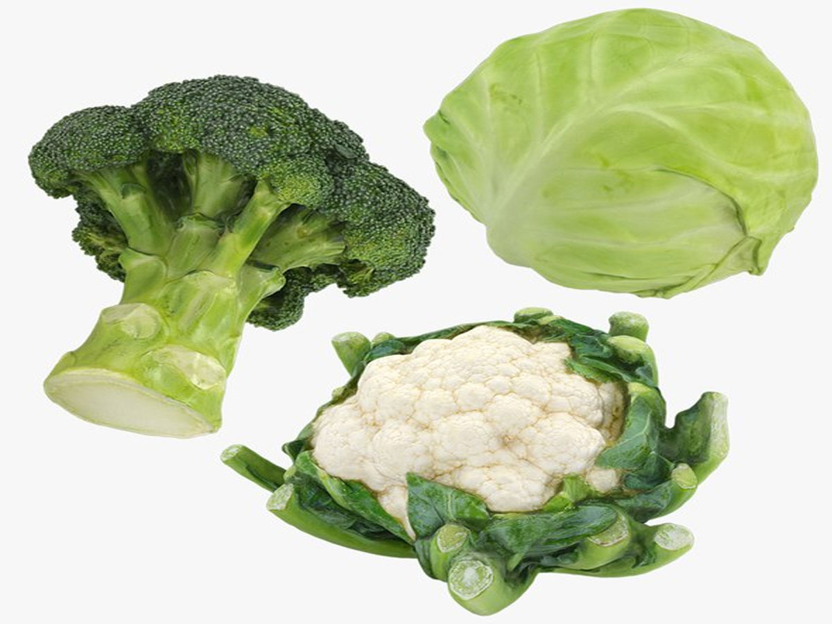 सब्जियां