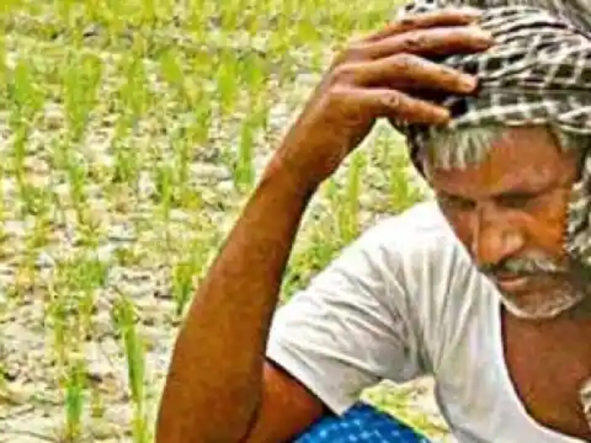 PM Kisan Yojna: 15वीं किस्त से हाथ धो बैठेंगे किसान, अगर पूरे नहीं किए ये 3 काम!