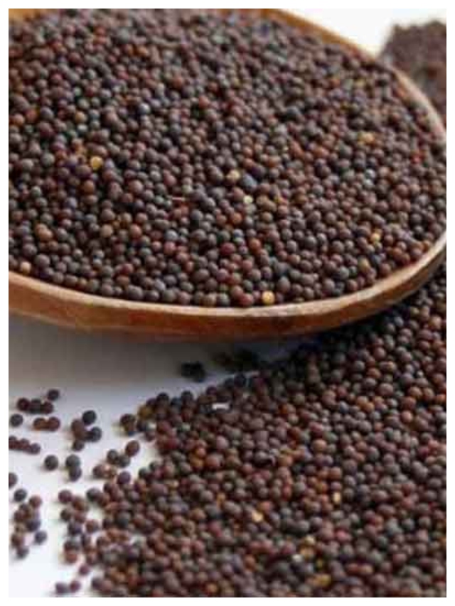 Benefits of Rai: You will be surprised by the benefits of eating Rai ...
