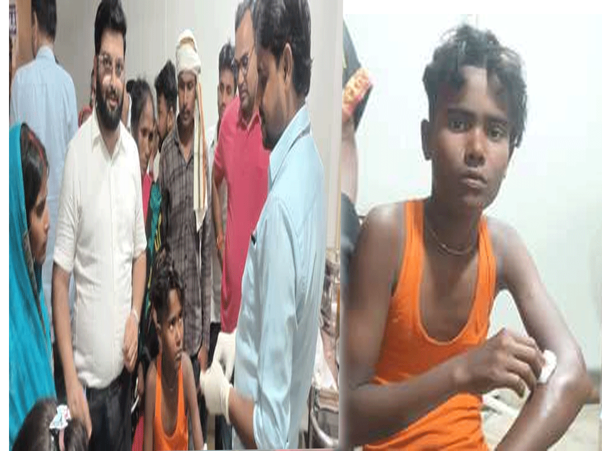 Bihar News: नदी पार करते वक़्त नीतीश कुमार पर मगरमच्छ ने किया हमला; मुश्किल से बची जान! Bihar News: नदी पार करते वक़्त नीतीश कुमार पर मगरमच्छ ने किया हमला; मुश्किल से बची जान!