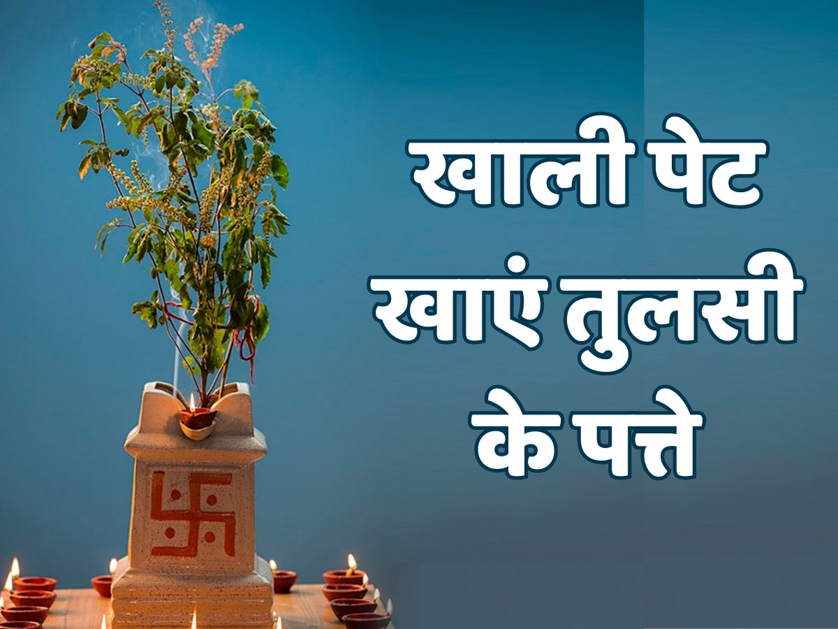 Benefits of Tulsi Eat basil leaves on an empty stomach tulsi ke fayde watch video Tulsi ke