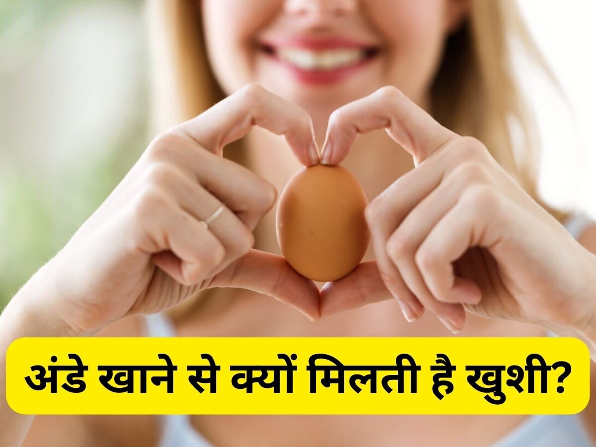 Egg: अंडे में Tryptophan की मौजूदी से मूड होगा बेहतर, परेशानी में भी किसी पर नहीं होंगे आगबबूला