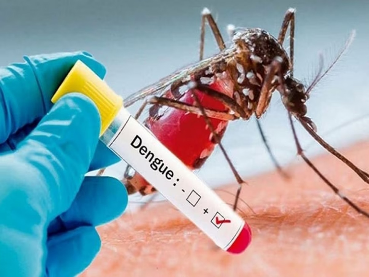 Dengue: इस राज्य में कहर बरपा रहा डेंगू, हजारों एक्टिव केस, कम से कम 24 लोगों की मौत