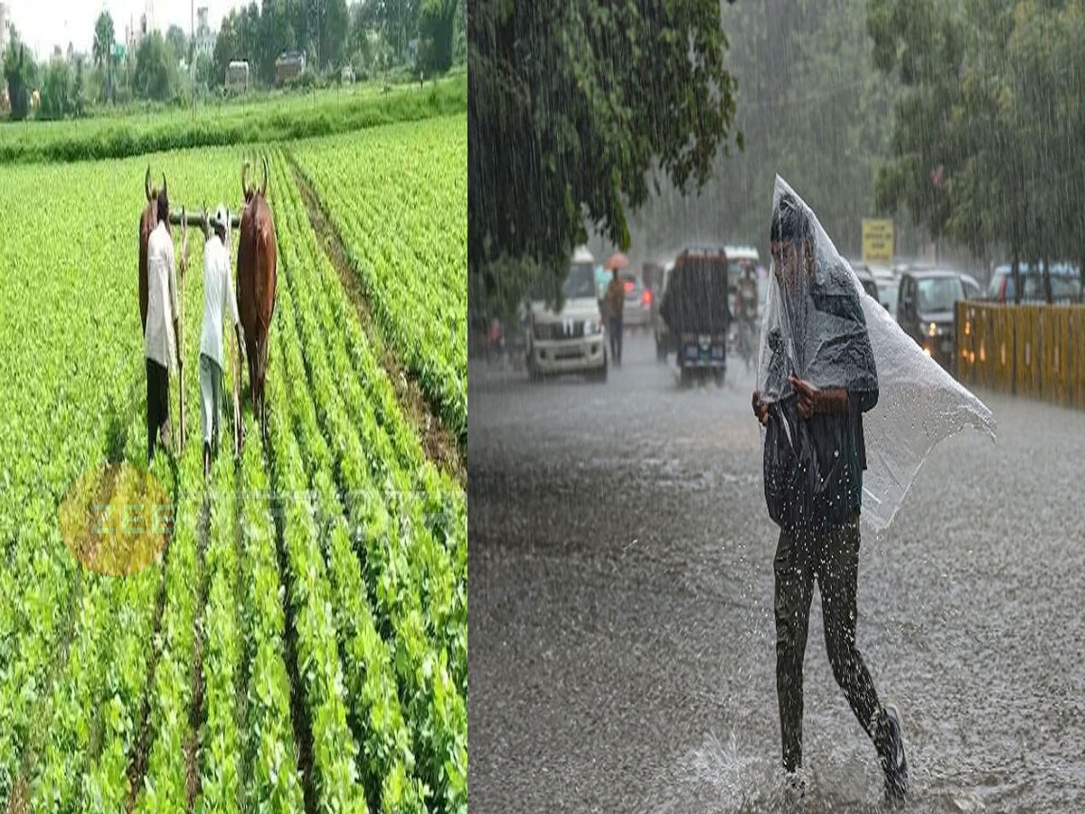 Rajasthan Weather Update: खिलेंगे किसानों के चेहरे, ताजा अपडेट-राजस्थान में इन जगहों पर होगी बारिश