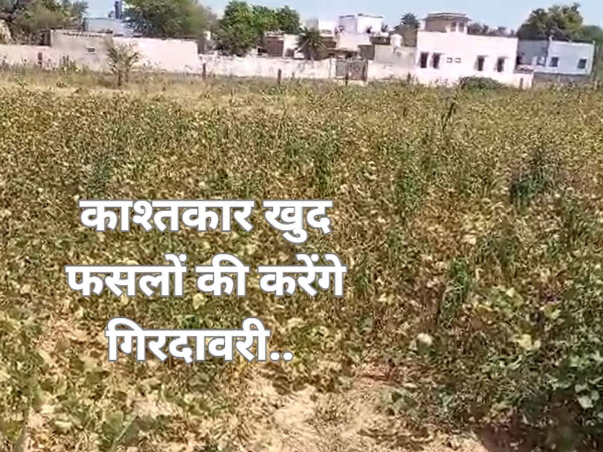 राजस्थान में किसानों के लिए नई योजना लागू,काश्तकार खुद करेंगे फसलों की गिरदावरी