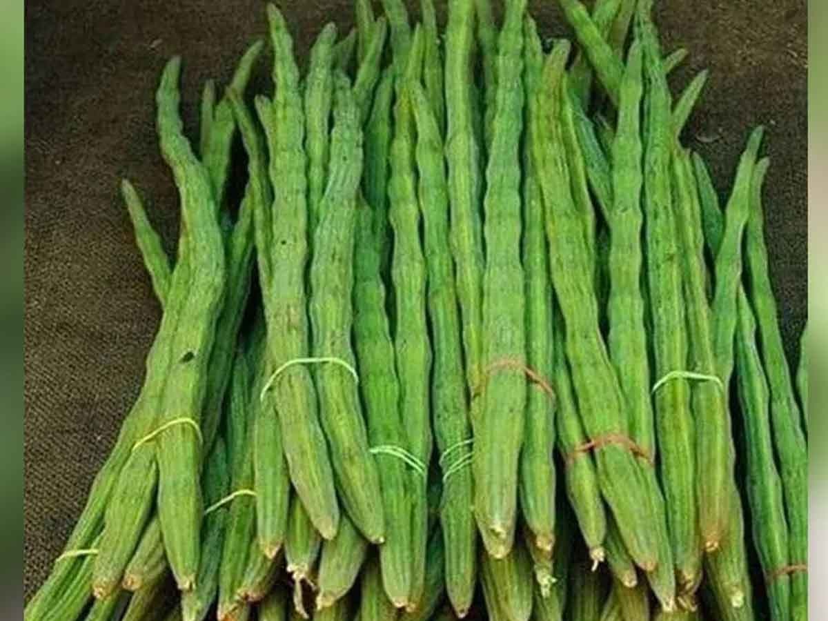 drumstick vegetable increases men power immensely sahjan ke fayde