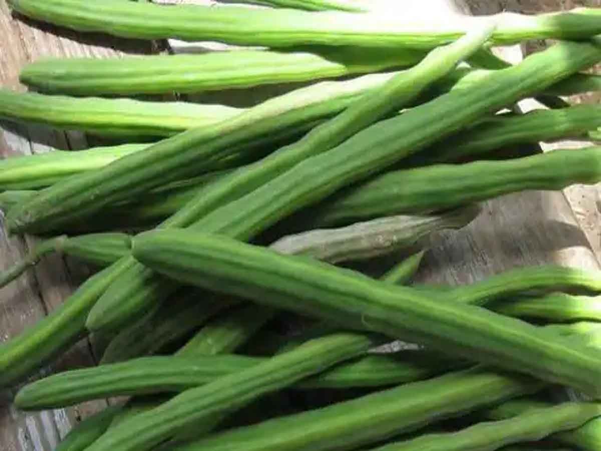 drumstick vegetable increases men power immensely sahjan ke fayde