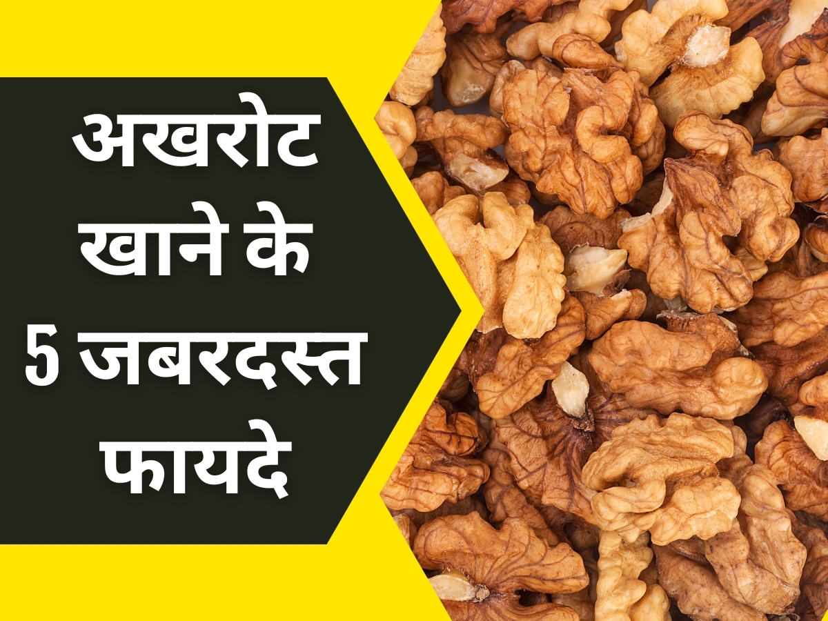 Walnut Benefits: दिमाग से लेकर आंखें तेज करने तक, Tocopherols से भरपूर अखरोट खाने से मिलेंगे 5 जबरदस्त फायदे