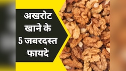 दिमाग से लेकर आंखें तेज करने तक, Tocopherols से भरपूर अखरोट खाने से मिलेंगे 5 फायदे