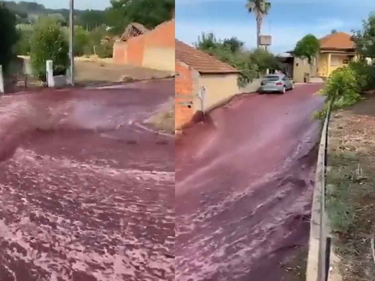 Watch: शराब की बाढ़ में डूबा शहर, 20 लाख लीटर से ज्यादा रेड वाइन सड़कों पर बही