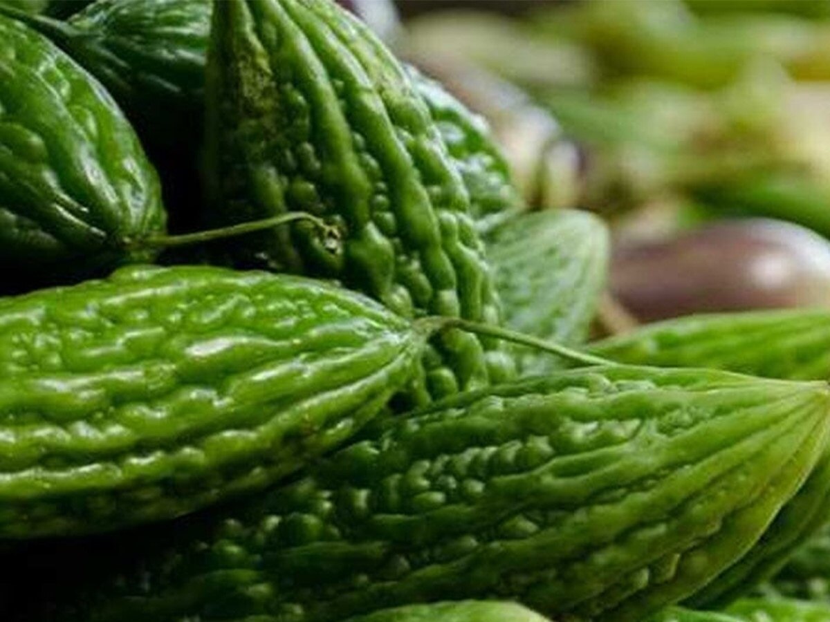 Bitter Gourd Side Effects These people should not eat bitter gourd