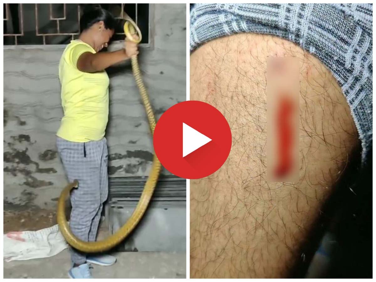 Snake Viral Video: लड़की ने पकड़ा जिंदा सांप, गुस्से में डसा, फिर देखें क्या हुआ