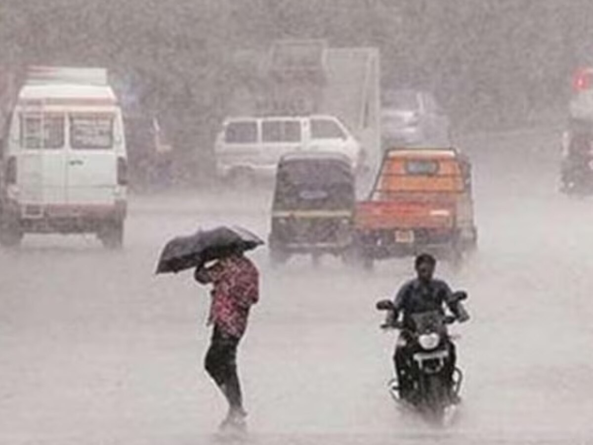 Weather News: MP में एक्टिव हुआ नया सिस्टम! आज होगी भारी बारिश, छत्तीसगढ़ में ऐसा रहेगा मौसम