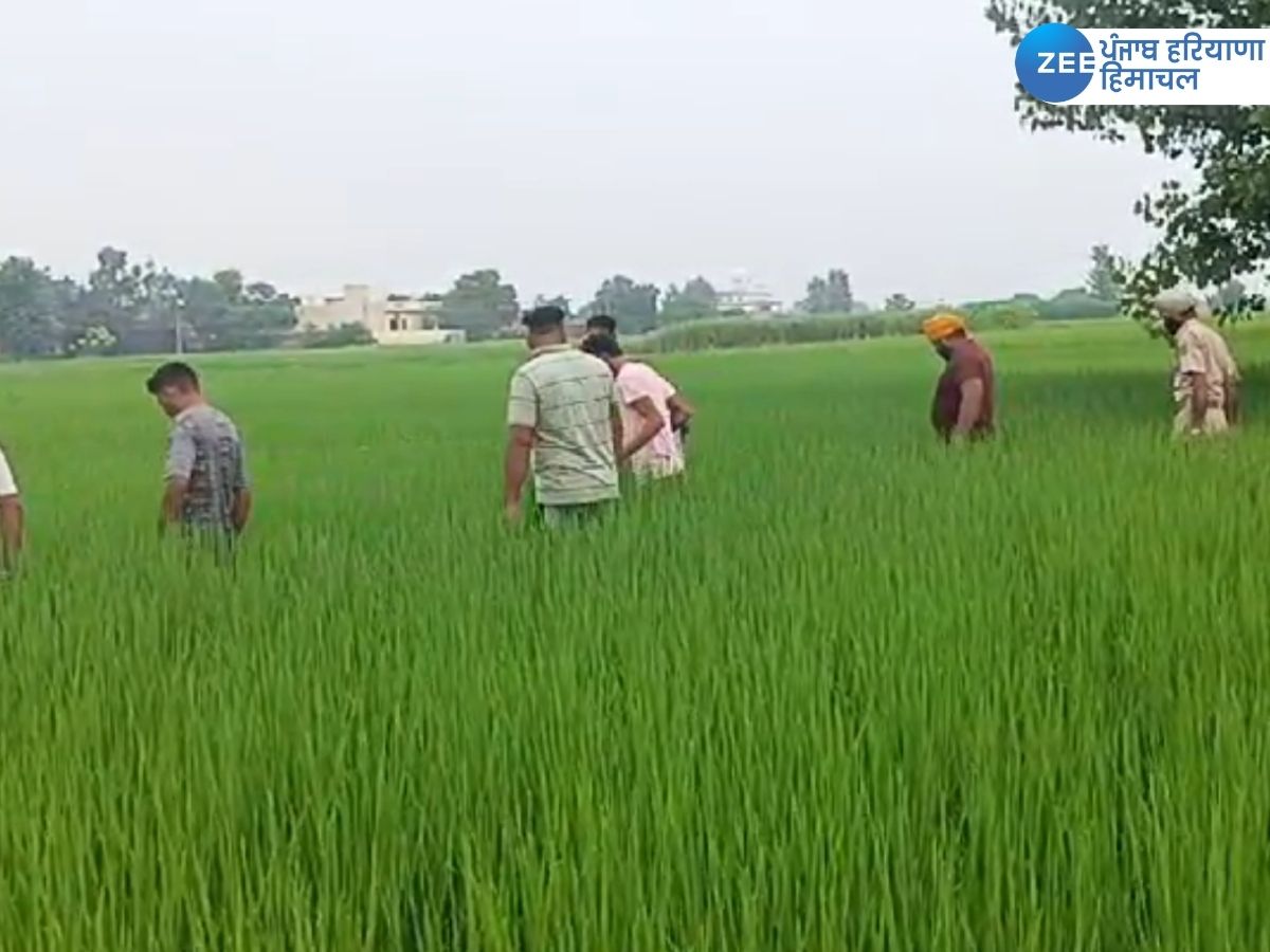 Amritsar News: ਅੰਮ੍ਰਿਤਸਰ ਪੁਲਿਸ ਨੂੰ ਮਿਲੀ ਵੱਡੀ ਸਫ਼ਲਤਾ, ਇੱਕ ਡਰੋਨ ਕੀਤਾ ਬਰਾਮਦ, 2 ਤਸਕਰਾਂ ਖਿਲਾਫ਼ FIR Amritsar News: ਅੰਮ੍ਰਿਤਸਰ ਪੁਲਿਸ ਨੂੰ ਮਿਲੀ ਵੱਡੀ ਸਫ਼ਲਤਾ, ਇੱਕ ਡਰੋਨ ਕੀਤਾ ਬਰਾਮਦ, 2 ਤਸਕਰਾਂ ਖਿਲਾਫ਼ FIR