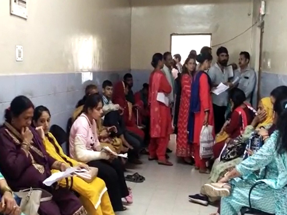Dengue In Bilaspur: बारिश के बाद अचानक बढ़ने लगे डेंगू के पॉजिटिव मामले 