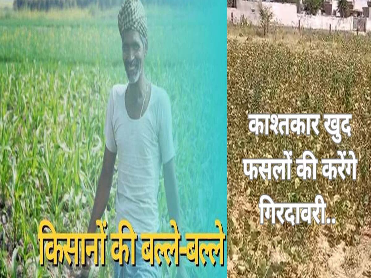 राजस्थान में किसानों की बल्ले-बल्ले,लागू को हो गई नई योजना, गिरदावरी का रास्ता साफ