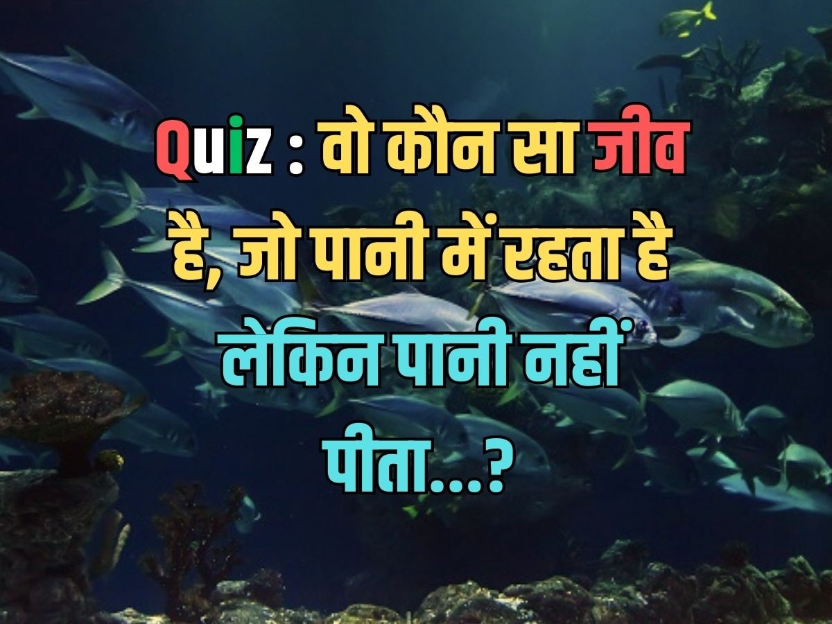 Trending Quiz : वो कौन सा जीव है, जो पानी में रहता है लेकिन पानी नहीं पीता?