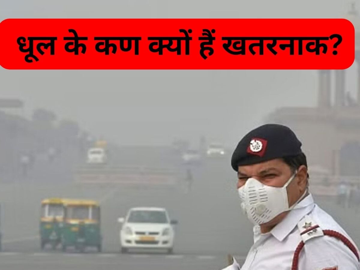 Dust Pollutants: धूल के कणों के बीच सांस लेने से क्या नुकसान होंगे? जानिए ऐसा करने का रिस्क