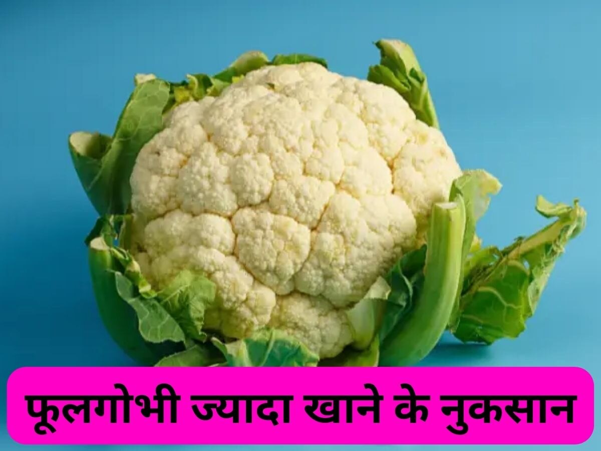 Cauliflower: फूलगोभी में मौजूद Raffinose इस अंग के लिए नुकसानदेह, जानिए ये सब्जी ज्यादा क्यों नहीं खानी चाहिए