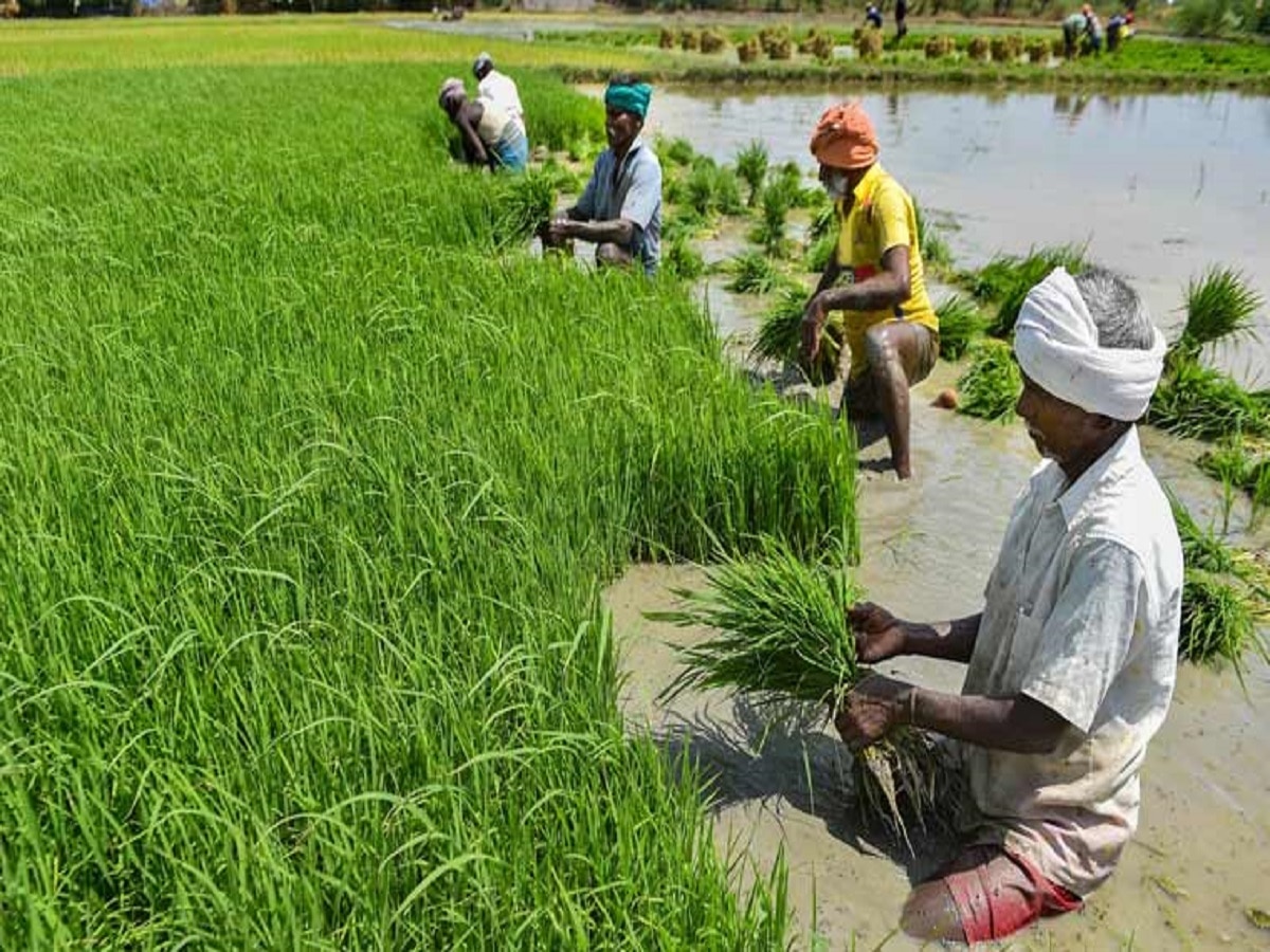 Finance Ministry: इन 3 राज्य के किसानों के पास ज्यादा कमाई का मौका, सरकार देगी इस काम के लिए लाइसेंस 