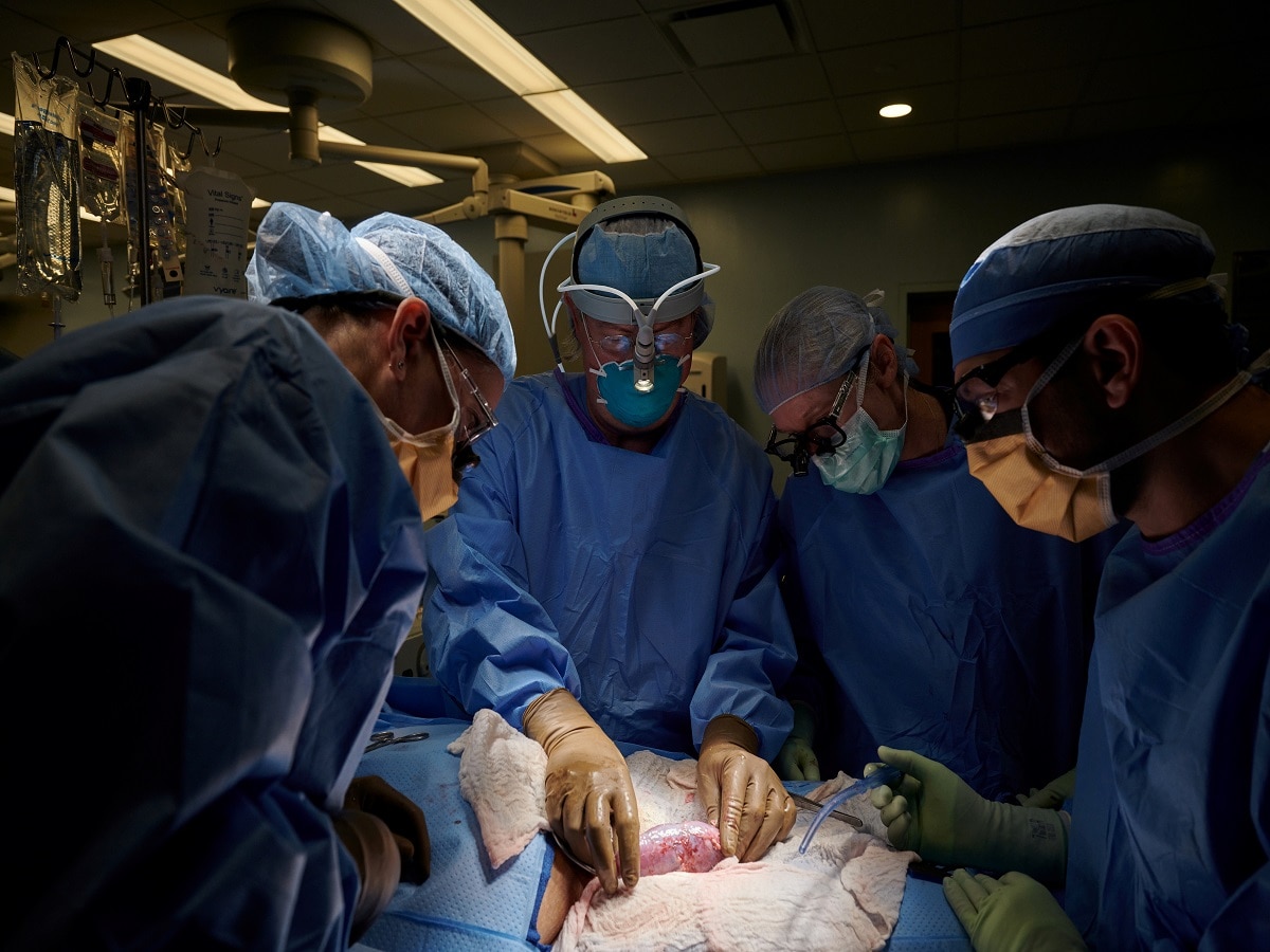 Organ Rejection: इन मरीजों के लिए बिग न्यूज, ऑर्गन रिजेक्शन अब बीते दिनों की हो जाएगी बात