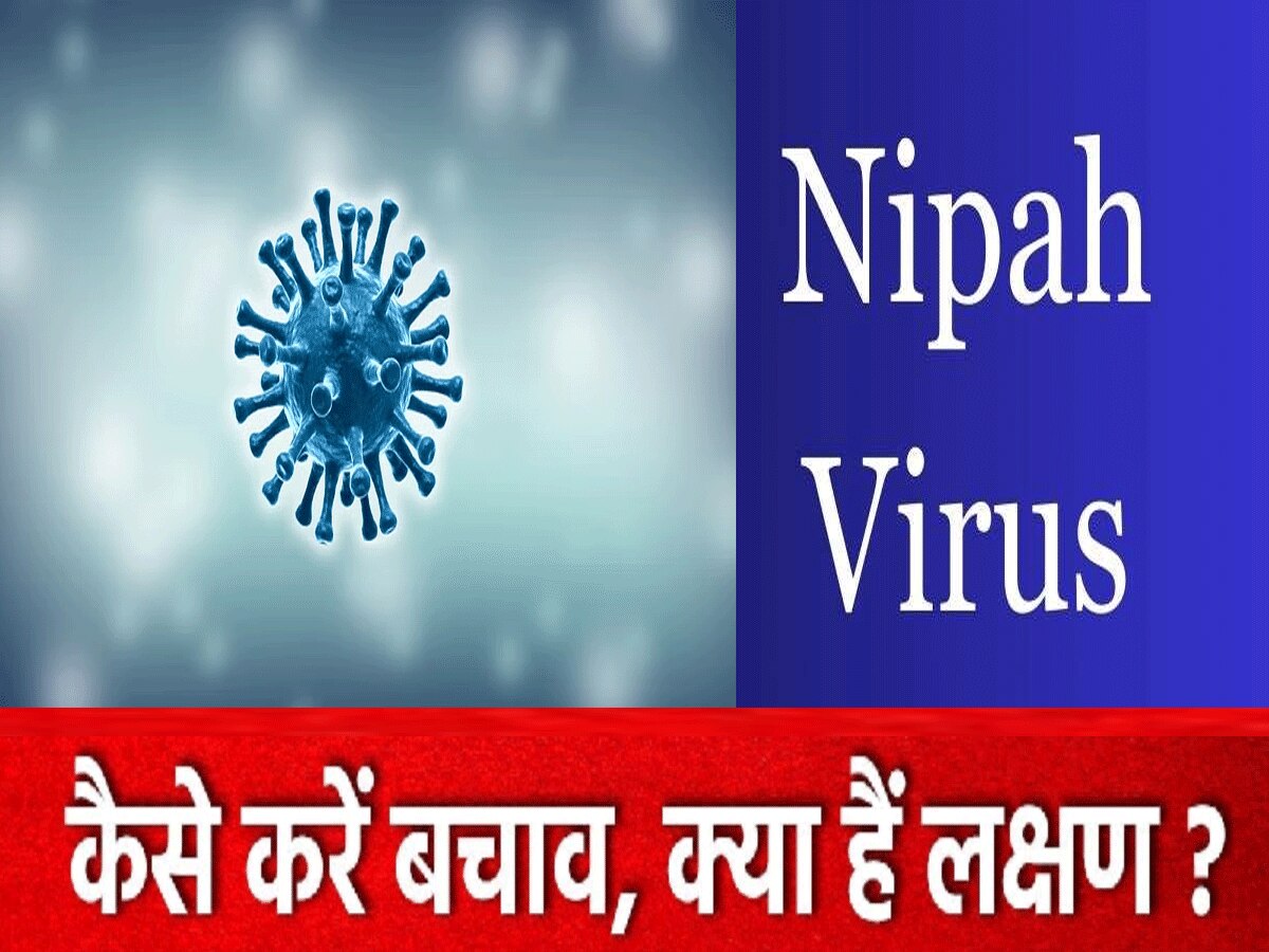 nipah virus safety tips 