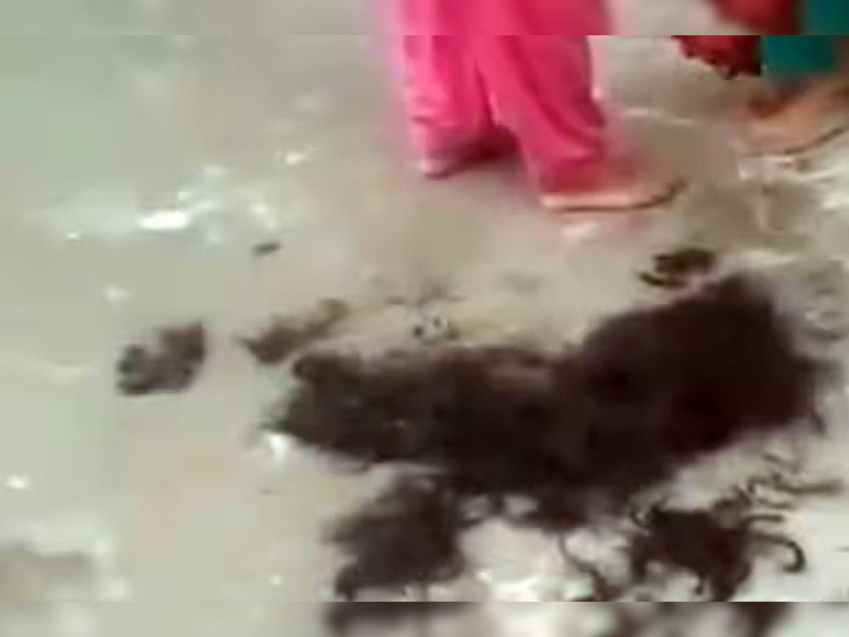 Hamirpur News: हिमाचल से शर्मशार करने वाला मामला आया सामने, महिला के काटे बाल फिर मुंह काला कर घुमाया