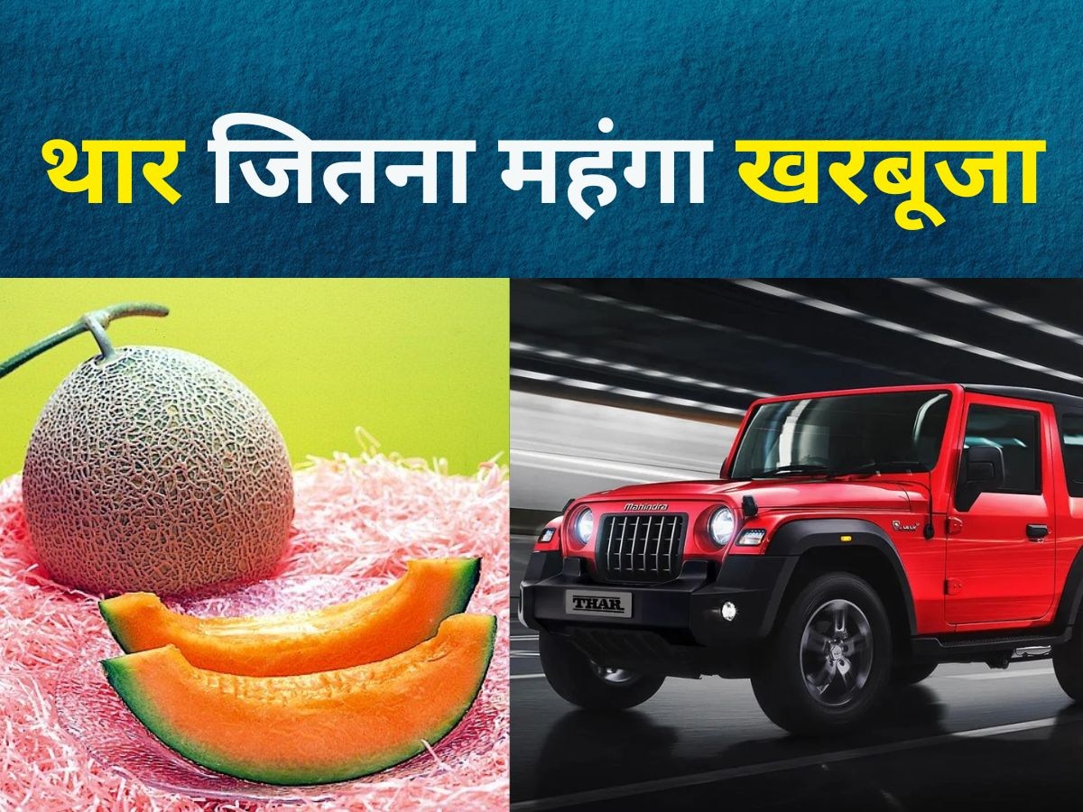 Yubari King Melon: अरे बाप रे...दुनिया का सबसे महंगा खरबूजा, इतने में तो आ जाएगी Mahindra Thar