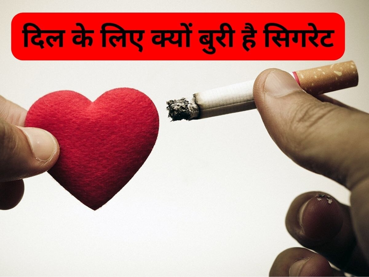 Smoking: Cigarette पीने का Heart से है तगड़ा कनेक्शन, जानिए कैसे करेगा दिल का बुरा हाल