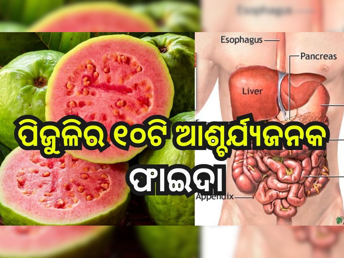Benefits of Guava:ପିଜୁଳି ଖାଇବା ଦ୍ୱାରା ମିଳିଥାଏ ଏହି ୧୦ଟି ଆଶ୍ଚର୍ଯ୍ୟଜନକ ଫାଇଦା..
