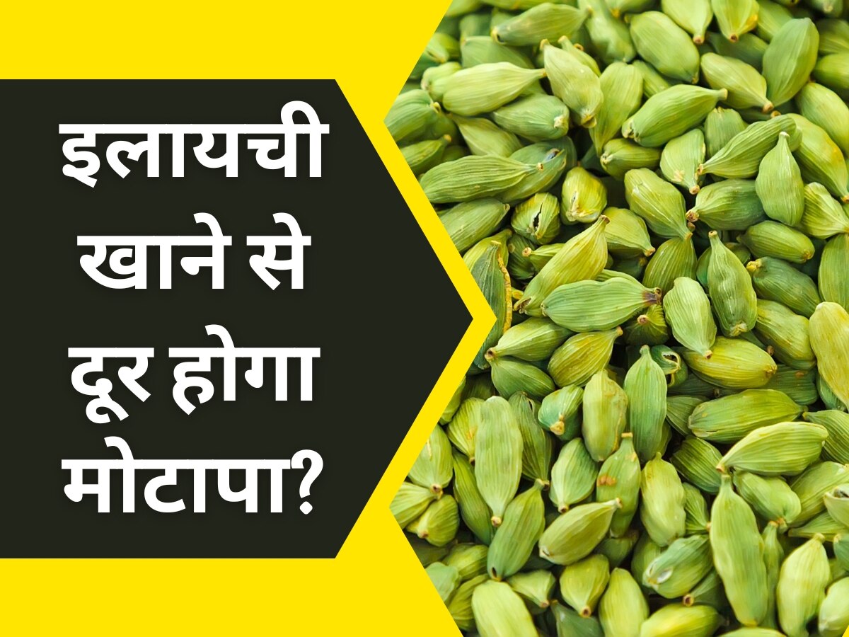 Cardamom Benefits: Cineole रिच इलायची का सेवन बढ़ाएगा भूख, कम होगा शरीर का फैट